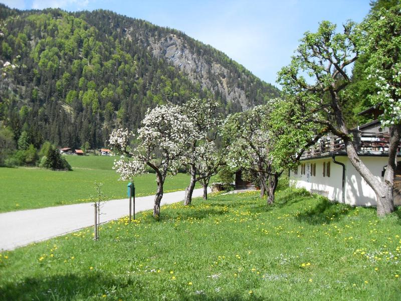 Gasthaus - Pension - Cafe Doerfl Kiefersfelden Luaran gambar