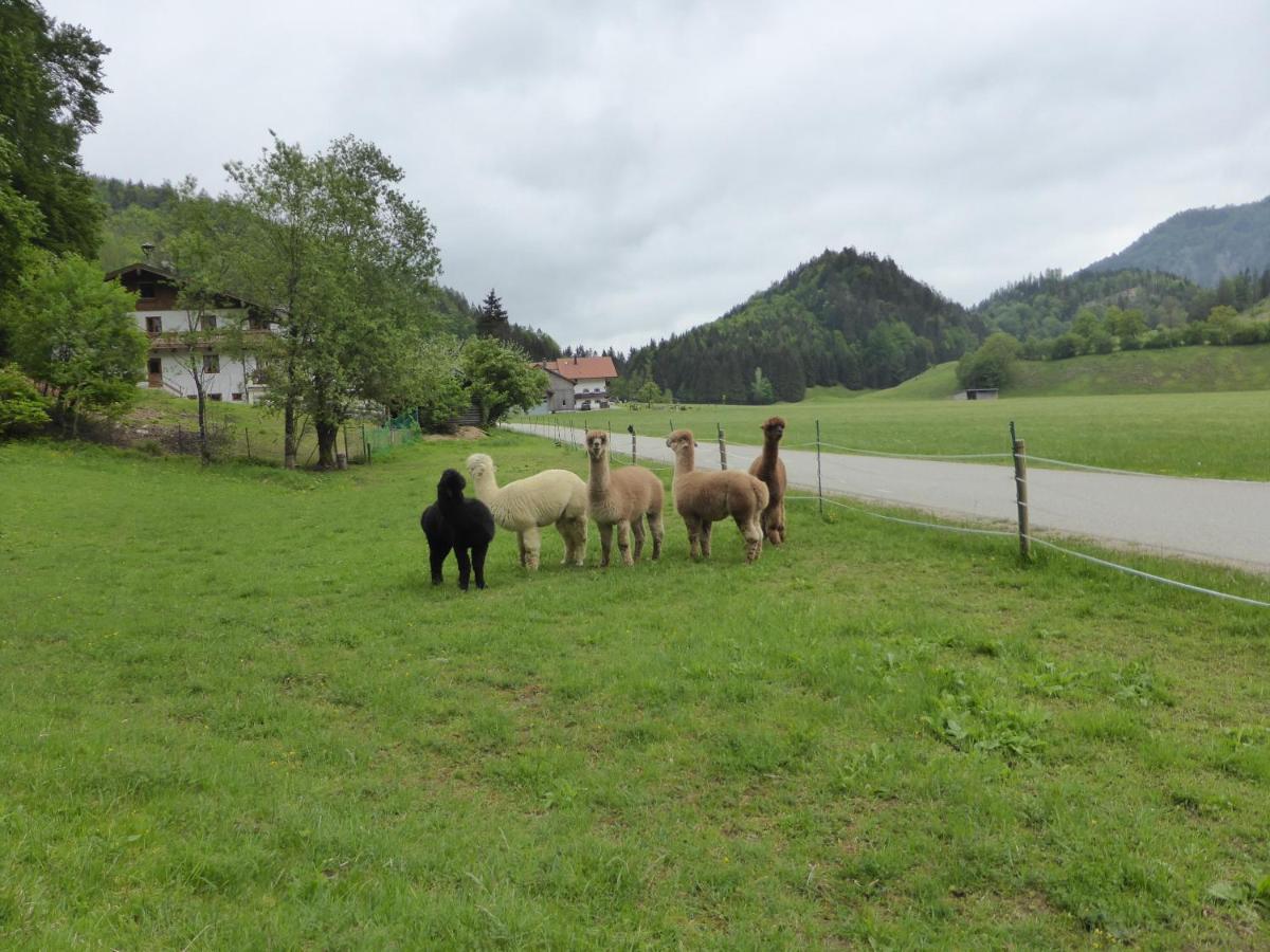 Gasthaus - Pension - Cafe Doerfl Kiefersfelden Luaran gambar