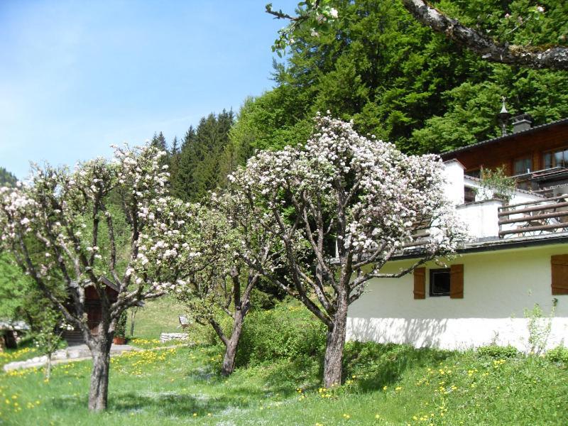 Gasthaus - Pension - Cafe Doerfl Kiefersfelden Luaran gambar